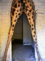 Кемер, Чамьюва, Naturland_1