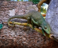 Кемер, Чамьюва, Naturland_4