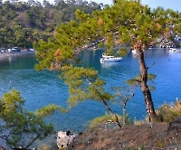 Райская бухта_9