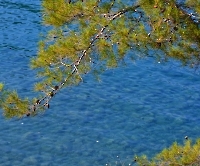 Райская бухта_10