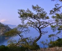 Райская бухта_6