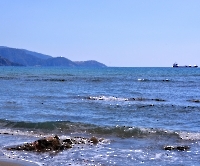 Экскурсия в Дальян_6