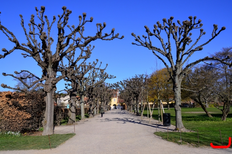 День 4 - Копенгаген_5