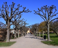 День 4 - Копенгаген_5