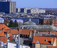 День 4 - Копенгаген_8