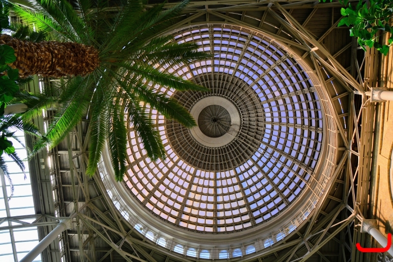 День 4 - Копенгаген_9