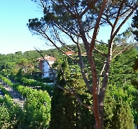 Монтекатини Терме_1