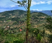 Монтекатини Терме_13