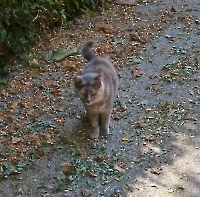 Монтекатини Терме_17