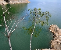 Плотина Vidraru_15