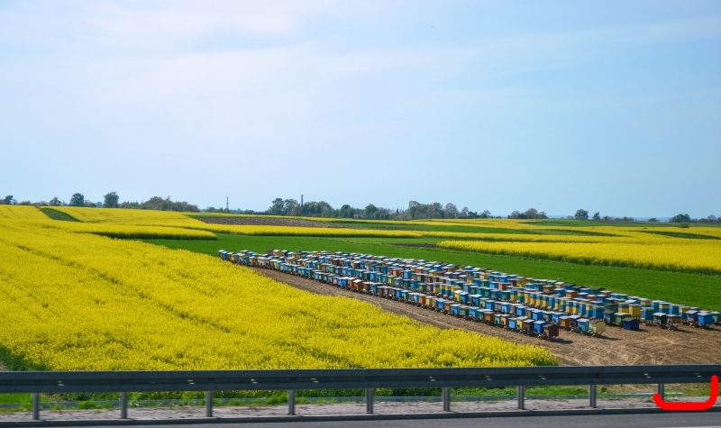 Краков-день 1_2