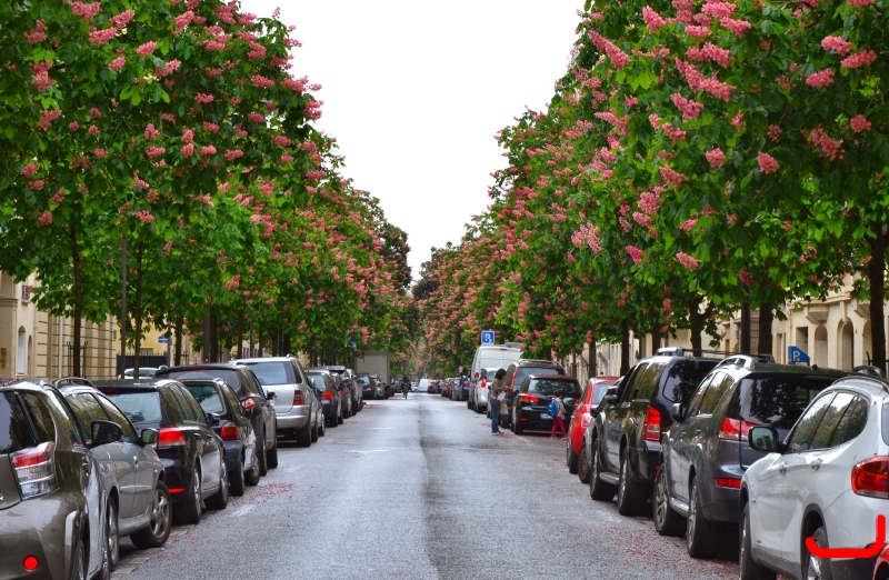 Париж, прибытие и прогулка к Эйфелевой башне_6