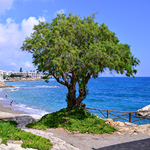 Крит, дни 1, 2